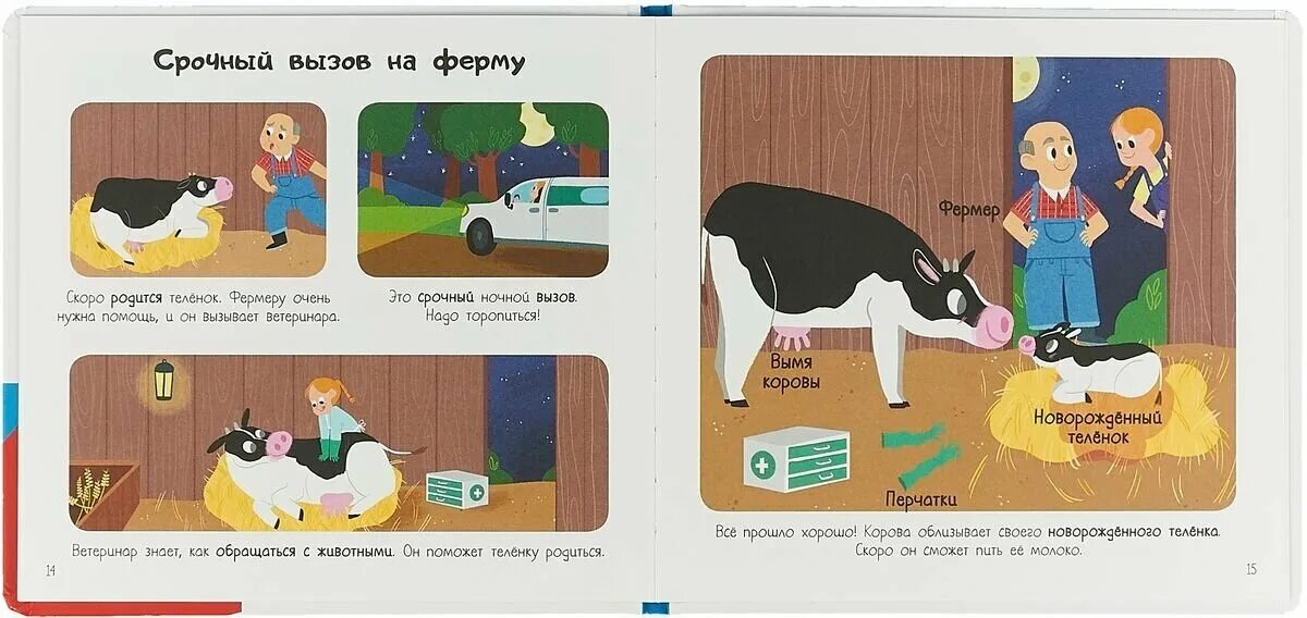 Ветеринар описание. Книги про ветеринаров. Книга ветврача. Профессия ветеринар презентация. А.