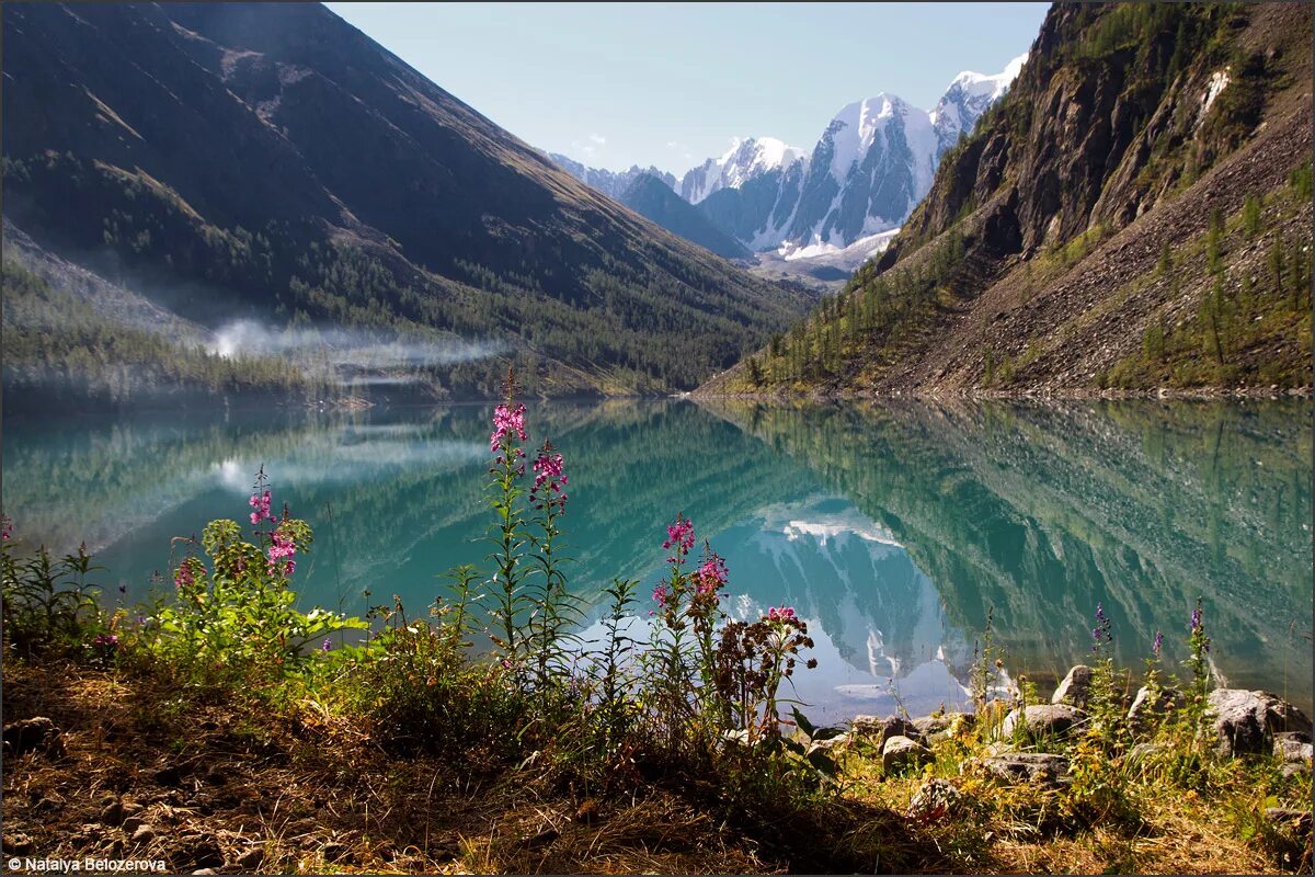 Горный алта. Горный Алтай озеро Шавло. Шавлинское озеро горный Алтай. Нижнее Шавлинское озеро Алтай. Озеро Тайменье Алтай.