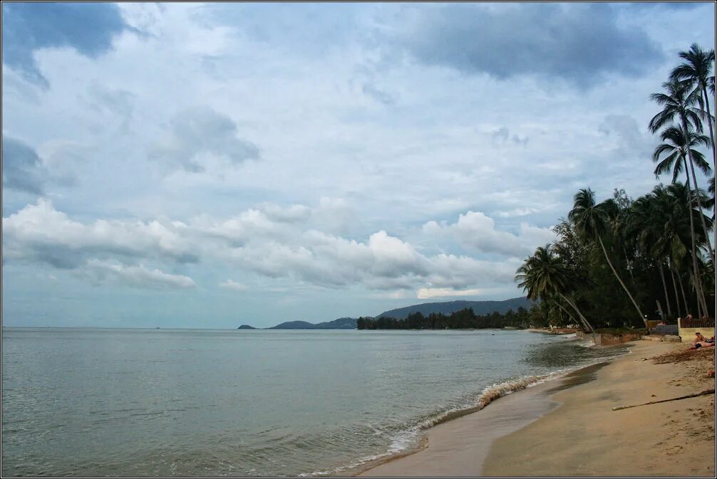 Самуи форум. Азия самуи. Район таиланда самуи. Центр самуи фото. Самуи форум.
