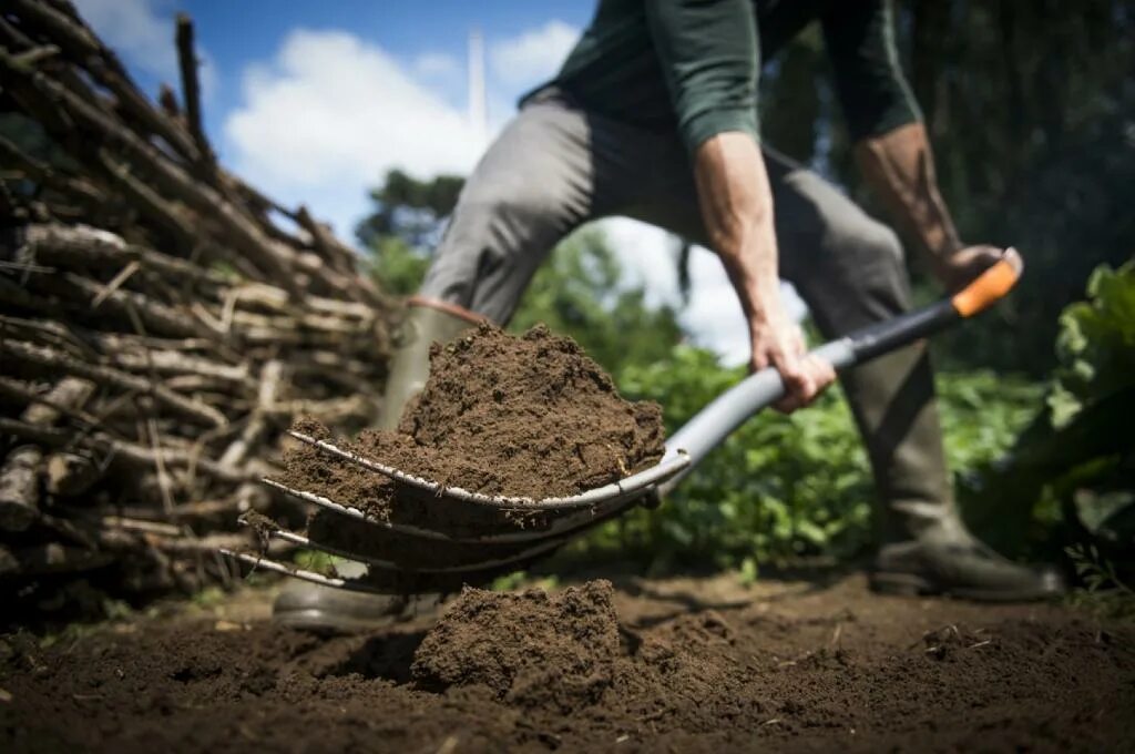 Улучшенный грунт. Улучшение почвы. Удобрение компост. Что такое компост для растений. Вилы для компоста.
