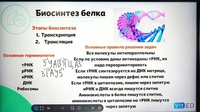 Сложные задачи по биологии. Сложные задачи по биологии. Цели проекта культура питания. Биология огэ вопросы. Цели и задачи здорового питания.