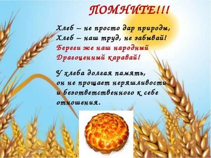 Песня пшеница золотая текст