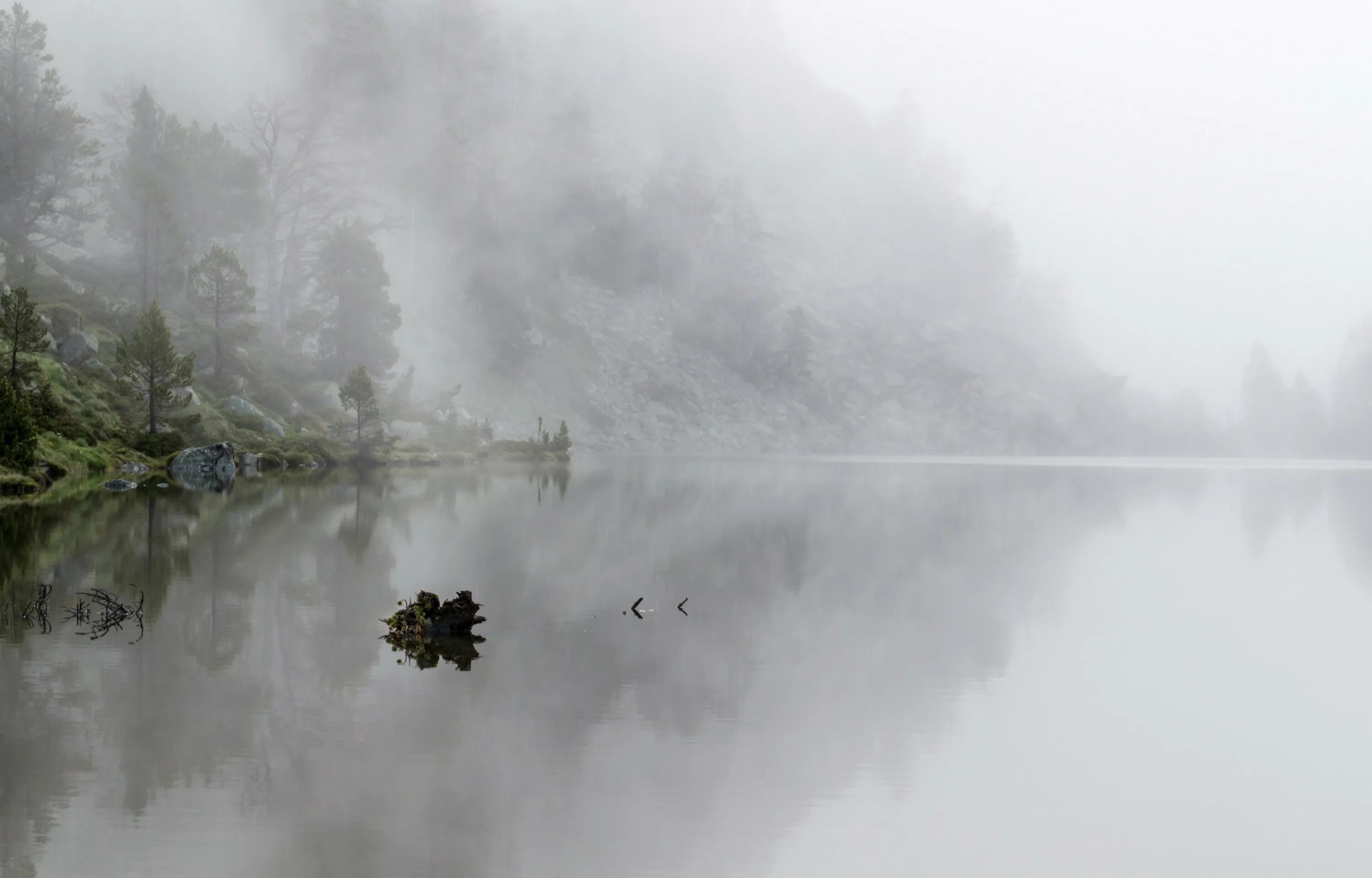 Туман. Туман на воде. Озеро в тумане. Туманный пейзаж. В тумане есть вода