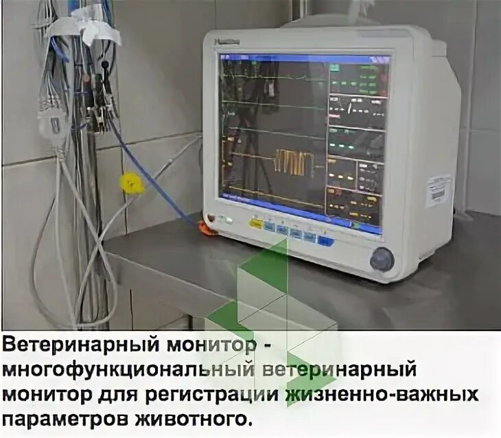 Первый ветеринарный центр бирюлево. Ветеринарная клиника в бирюлево западное. ветеринарная клиника бирюлево западное медынская. ветеринарная клиника дельта бирюлево западное. ветклиника медынская д.5.