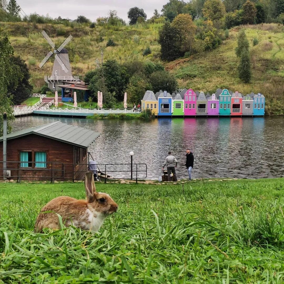 Село ромашково ул заречная