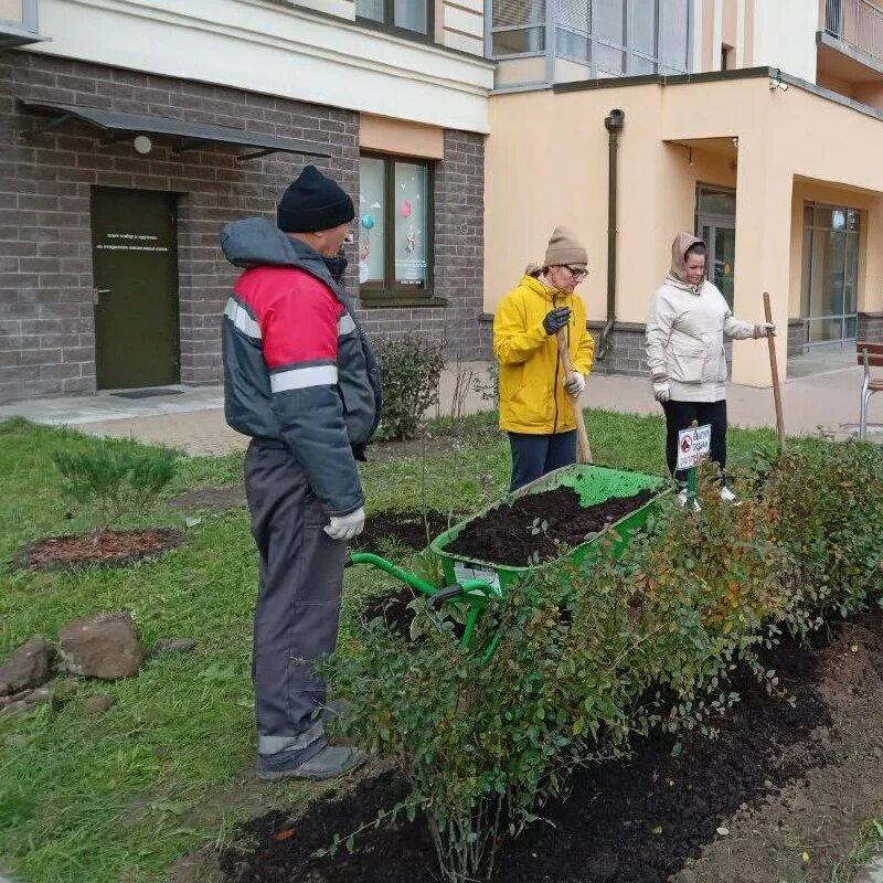Группа компаний эталон логотип. Эмблема управляющей компании. Управляющая компания эталон. Эталон управляющая компания изумрудные. Ооо ук эталон.