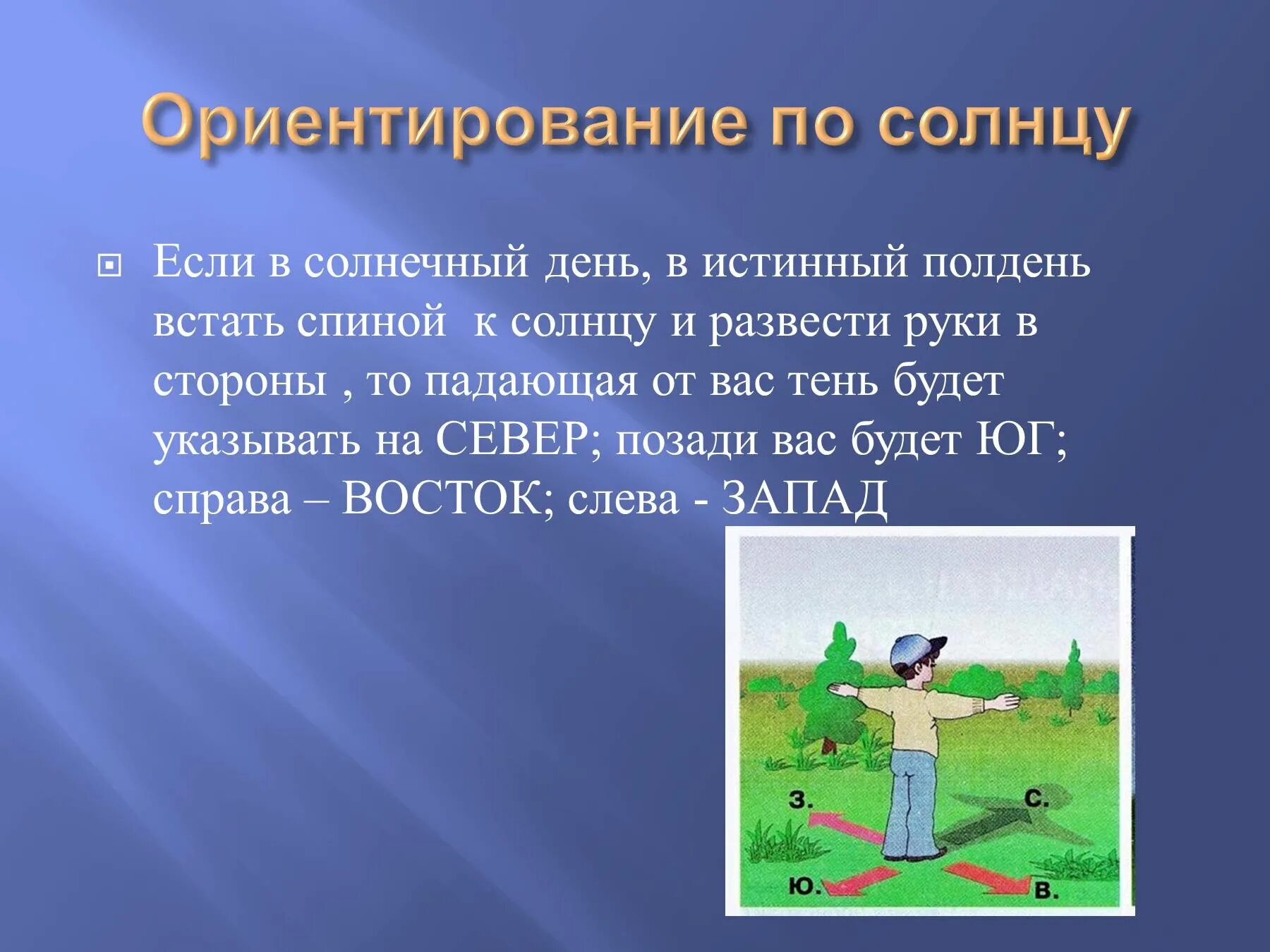 Если вечером встать лицом к солнцу. Ориентирование по солнцу. Ориентирование по солнцу в полдень. Ориентирование по солнцу и тени. В Солнечный полдень тень указывает на.