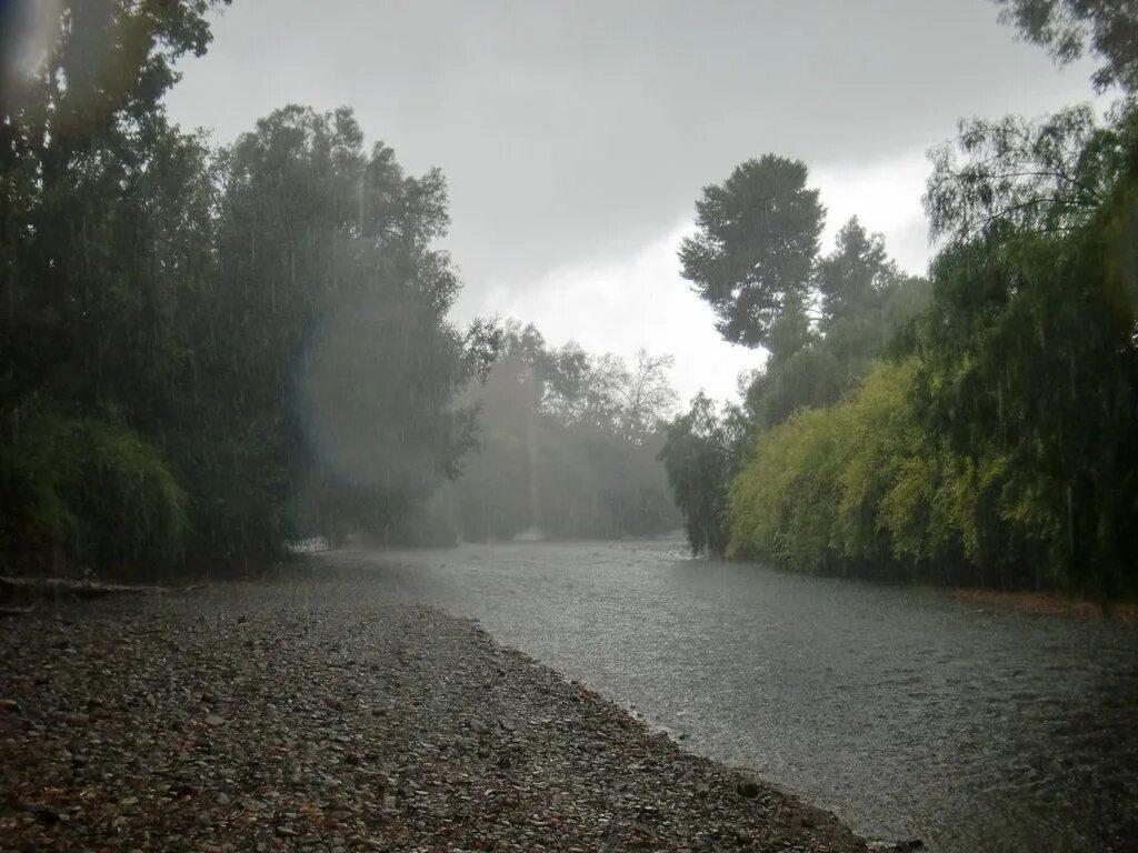 Raining rivers. Дождь на озере. Дождь на реке. Дождь берег реки. Дождливая река.