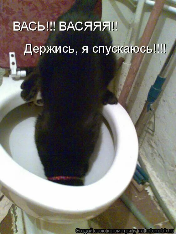 выход хозяин