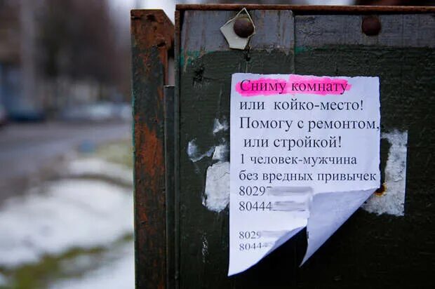 Объявления о аренде квартир от собственников. Объявление сниму комнату. объявление о съеме комнаты. аренда комнаты объявление. объявления сниму комнату в вашем доме.