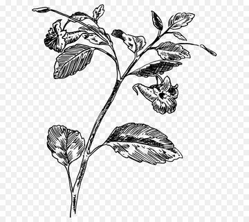 Plant line