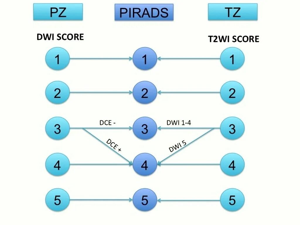 Pi rads 5. Pirads v2 таблица. Pi-rads v2.1. Pi-rads 2.1 классификация. Pi rads 2,1 схема.