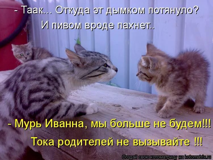 понюхал вроде не навоз. навоз прикол. понюхал вроде не навоз. конский перегной. навоз.