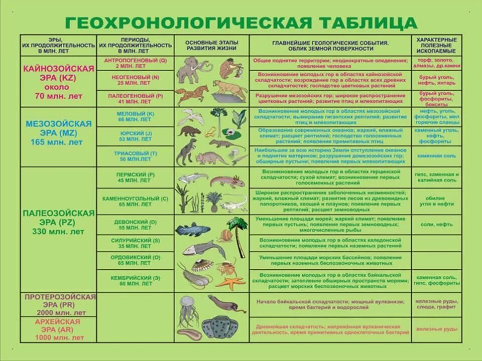 Геохронологических периодов. Геохронологическая таблица Эволюция растений. Таблица Геохронологическая таблица. Геохронологическая таблица эры и периоды. Геохронологическая таблица биология.