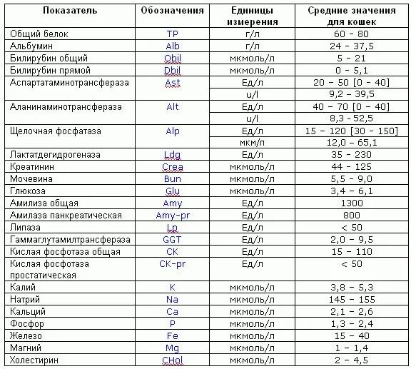 Биохимия крови расшифровка. Биохимические показатели крови схема. Биохимия анализ крови норма. Обозначения биохимических показателей крови.