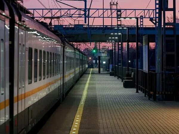 Курское направление новости на 24 августа. Курское направление новости на 24 августа