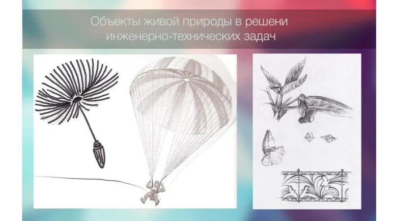 Бионика и биомиметика. Бионика это простыми словами. Бионика наука. Бионика это в биологии. Бионика это в биологии кратко.