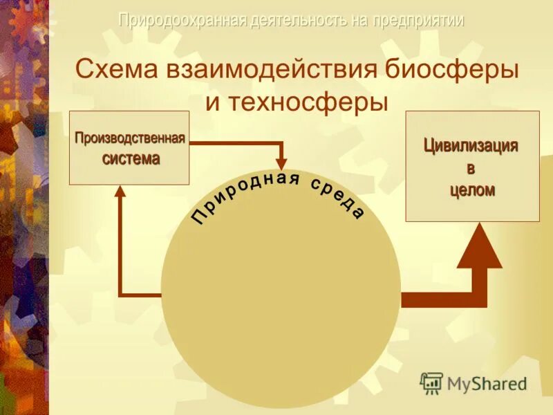 Какие утверждения о взаимодействии биосферы