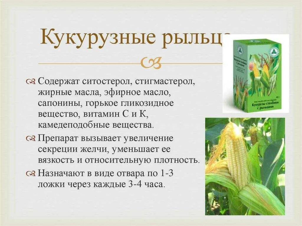 Кукурузные рыльца для чего. Рыльца кукурузы показания. кукурузные рыльца механизм действия. кукурузные рыльца столбики показания. кукурузные рыльца лечебные.
