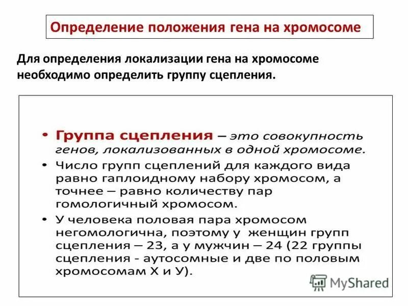 Количество групп сцепления равно. Определение положения Гена в хромосоме. Определение положения генов в хромосоме. Определение локализации Гена на хромосоме. Хромосомная локализация Гена это.