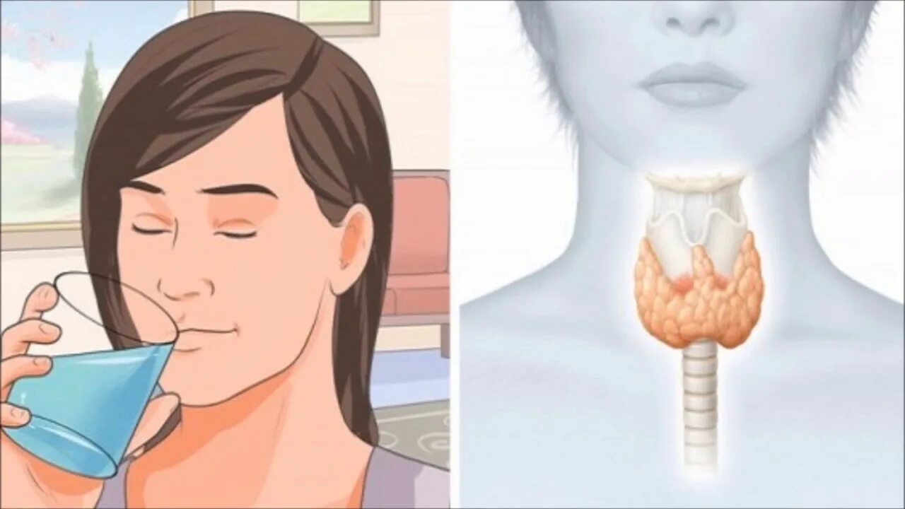 Щитовидная восстановилась. Восстановление щитовидки. Щитовидная железа при глотании.