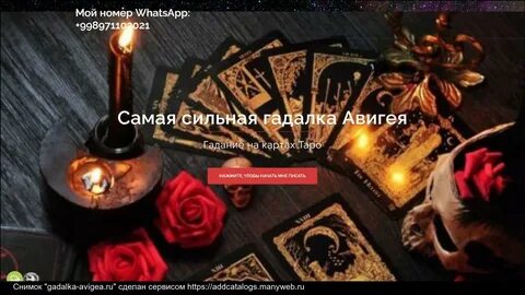 Гадание тарологов ютуб