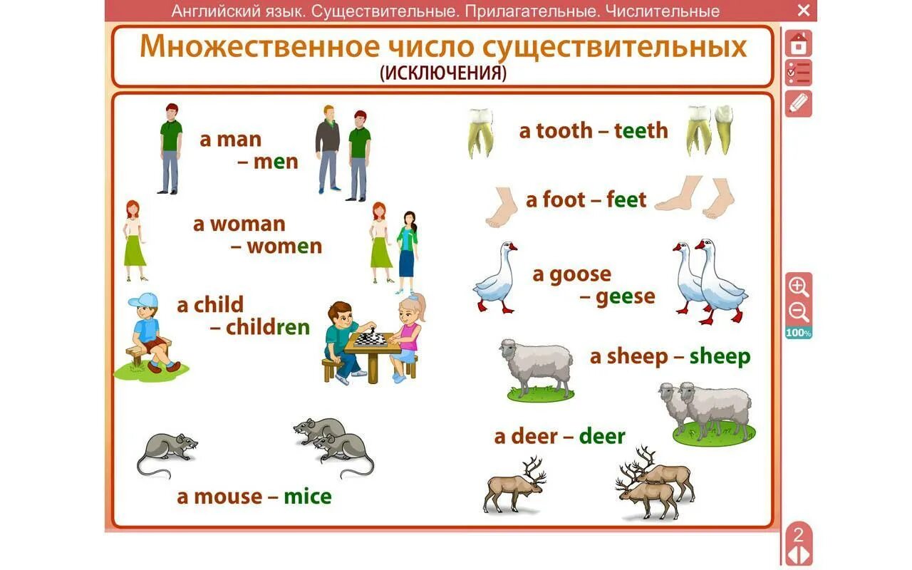 Существительные исключения в английском языке множественное число. Слова исключения множественного числа в английском языке. Мн ч сущ в английском языке исключения. Мн.число существительных в английском исключения.