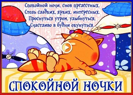 Доброй ночи прикол