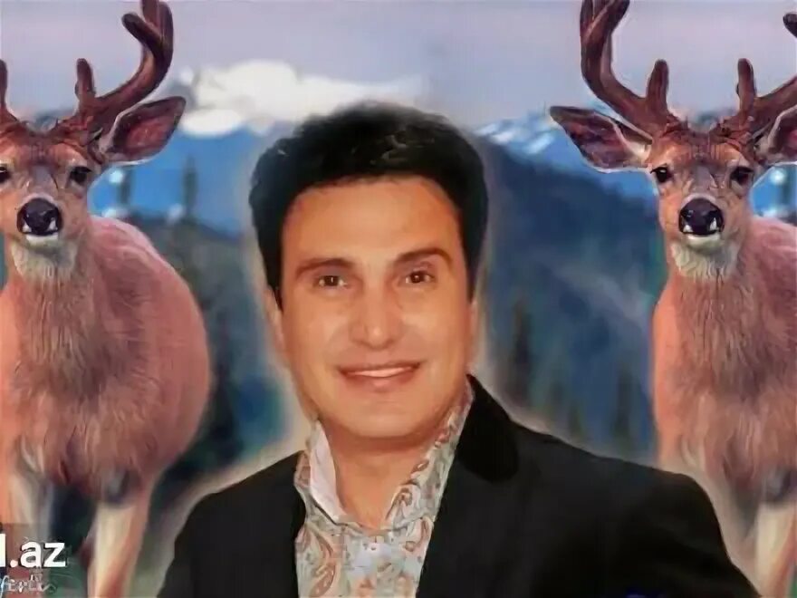 Песни марал марал