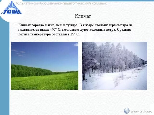 Климат тундры в январе. Климат лесотундры в России. Тундра климат января и июля. Температура января в тундре.