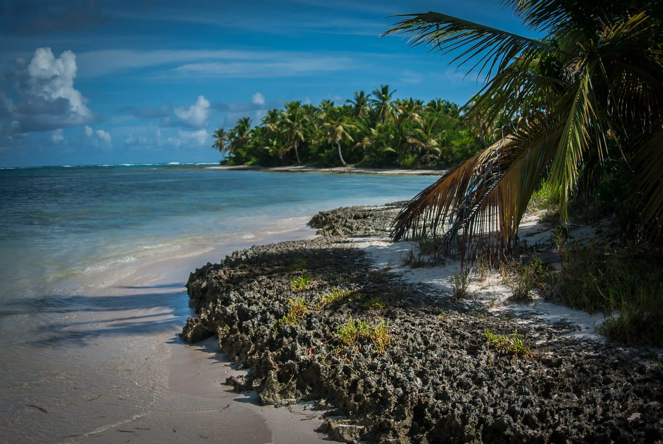 Красивые дикие пляжи. Остров самана Доминикана. Остров Каталина Доминикана. Ринкон Доминикана. Дикий пляж Пунта Кана.