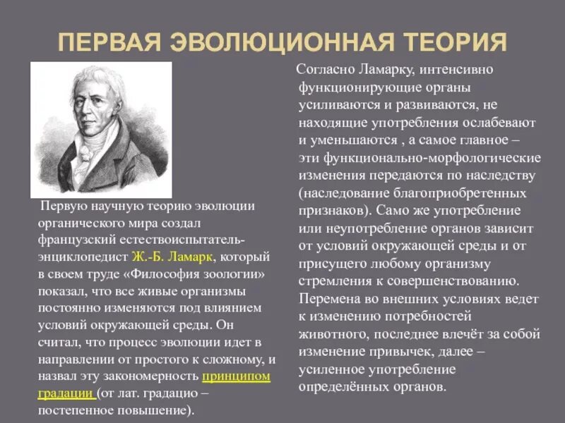 Эволюционные теории тест. Развитие эволюционного учения. Эволюционная теория. Первая теория эволюции. Создатель первой эволюционной теории.