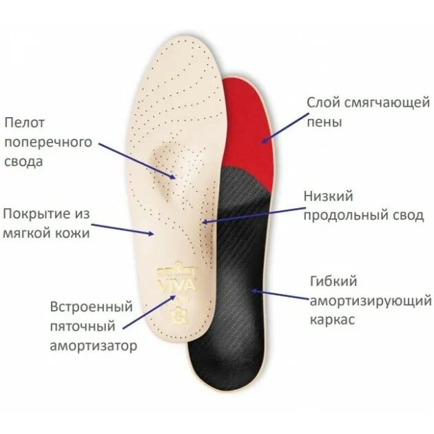 Слои свода. Стельки Pedag Viva. Стельки продольно-поперечные супинаторы. Стелька продольно поперечный свод. Ортопедические стельки для свода стопы.