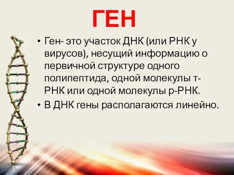 Днк 10 10 2023
