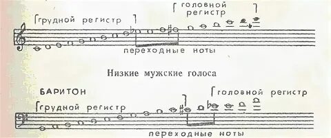 Смешанный регистр вокалиста 5 букв