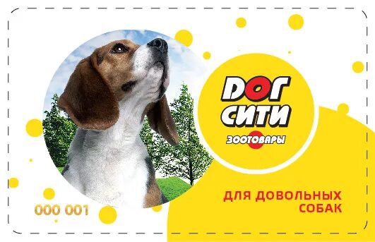 Дог сити интернет. Дог хаус логотип. Доге а магазине. Догсити сокольники логотип. Дог сити интернет.