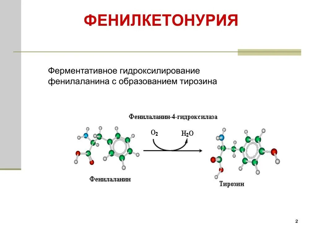 Фенилкетонурия фермент. Фенилкетонурия фенилаланин. Фенилкетонурия химизм. Фенилкетонурия схема биохимия. Причины фенилкетонурии биохимия.