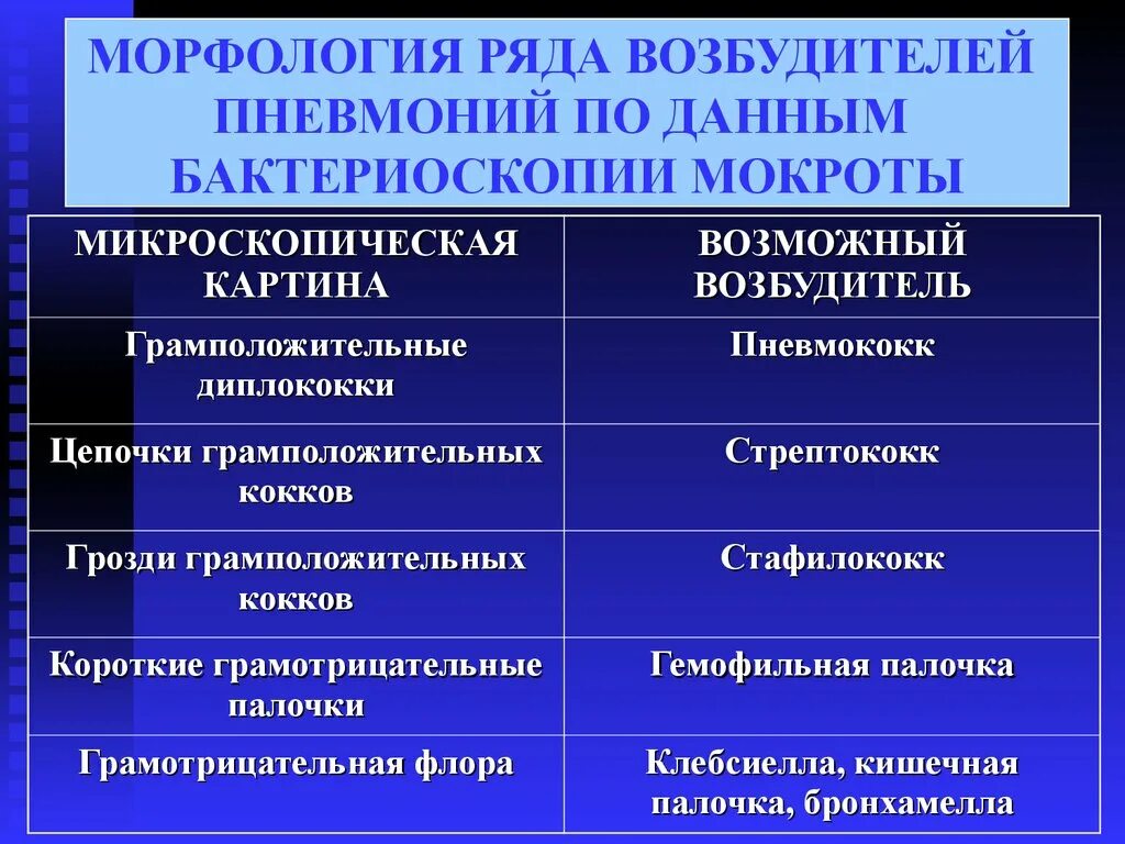 Возбудители пневмонии. Пневмококковая пневмония возбудитель. Пневмококковая пневмония морфология.