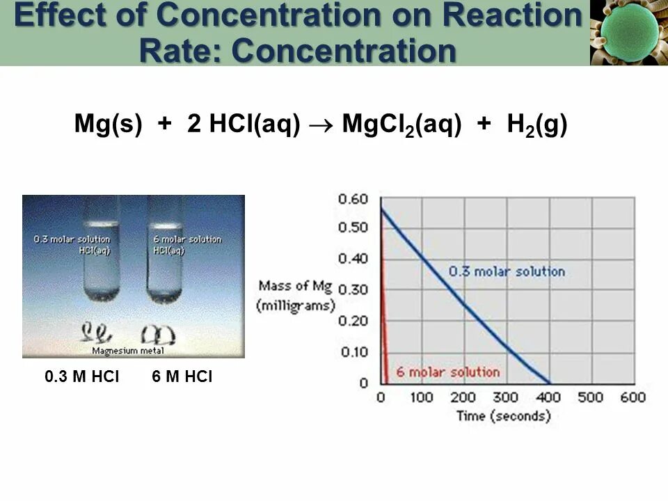 Mg hcl реакция возможна