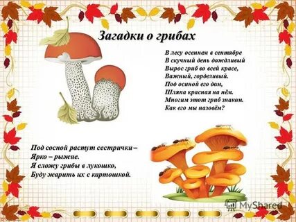 3 загадки про грибы