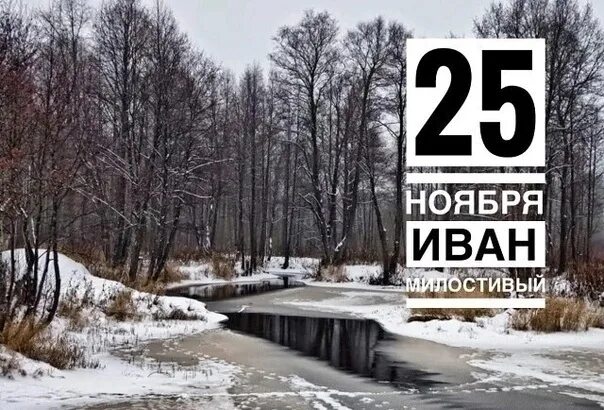 25 ноября 2023 год. 25 Ноября народный календарь. 25 Ноября картинки. 25 Ноября день Ивана снежного.