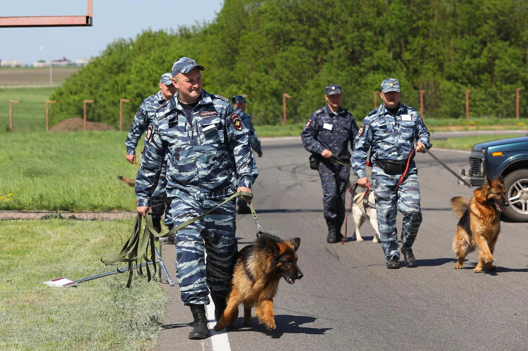 Кинология красноярск. Кинология красноярск. Кинолог гуфсин новосибирск. Кинология красноярск. Кинологический центр.