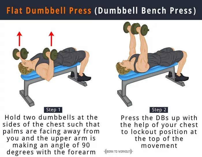 Чем заменить жим лежа. Dumbbell Flat Bench. Flat Bench Press to Dumbbell Press. Dumbbell Bench Press. Жим лежа.