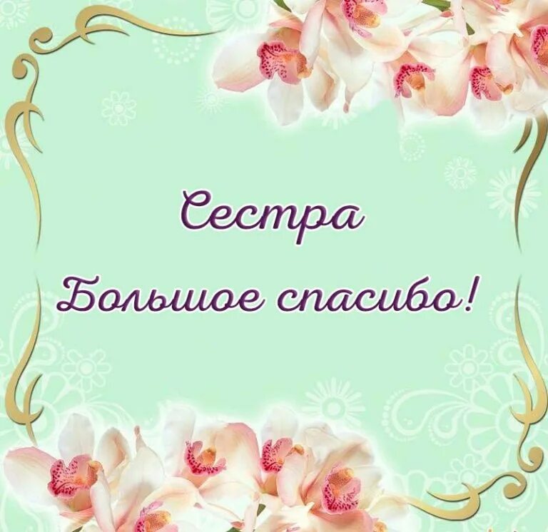 Уважаемые родители спасибо за подарки. Спасибо за поздравления очень приятно. Всем большое спасибо за поздравления. Благодарность родителям за внимание. Уважаемые родители спа.