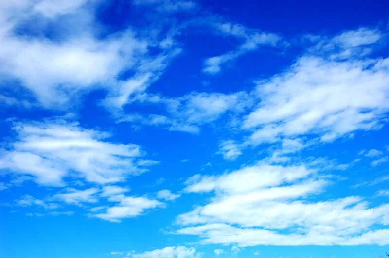 What are those in the sky
