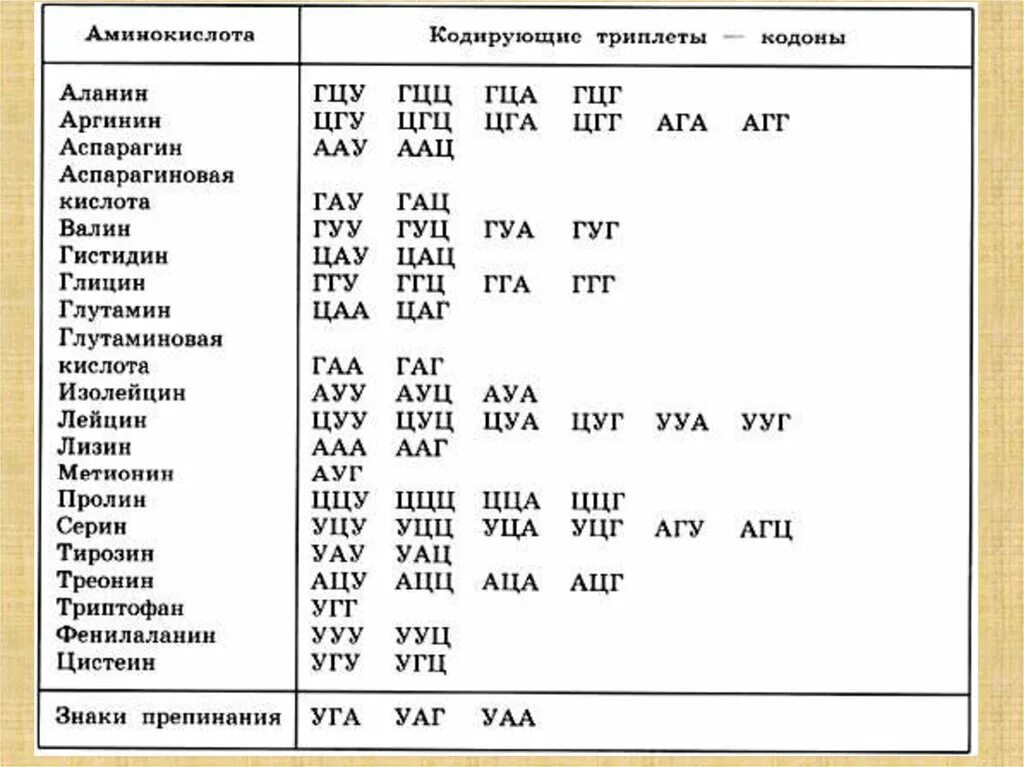 Аминокислоты таблица генетического кода. Триплеты ДНК таблица. Таблица триплетов генетического кода ДНК. Таблица аминокислот и триплетов ДНК.