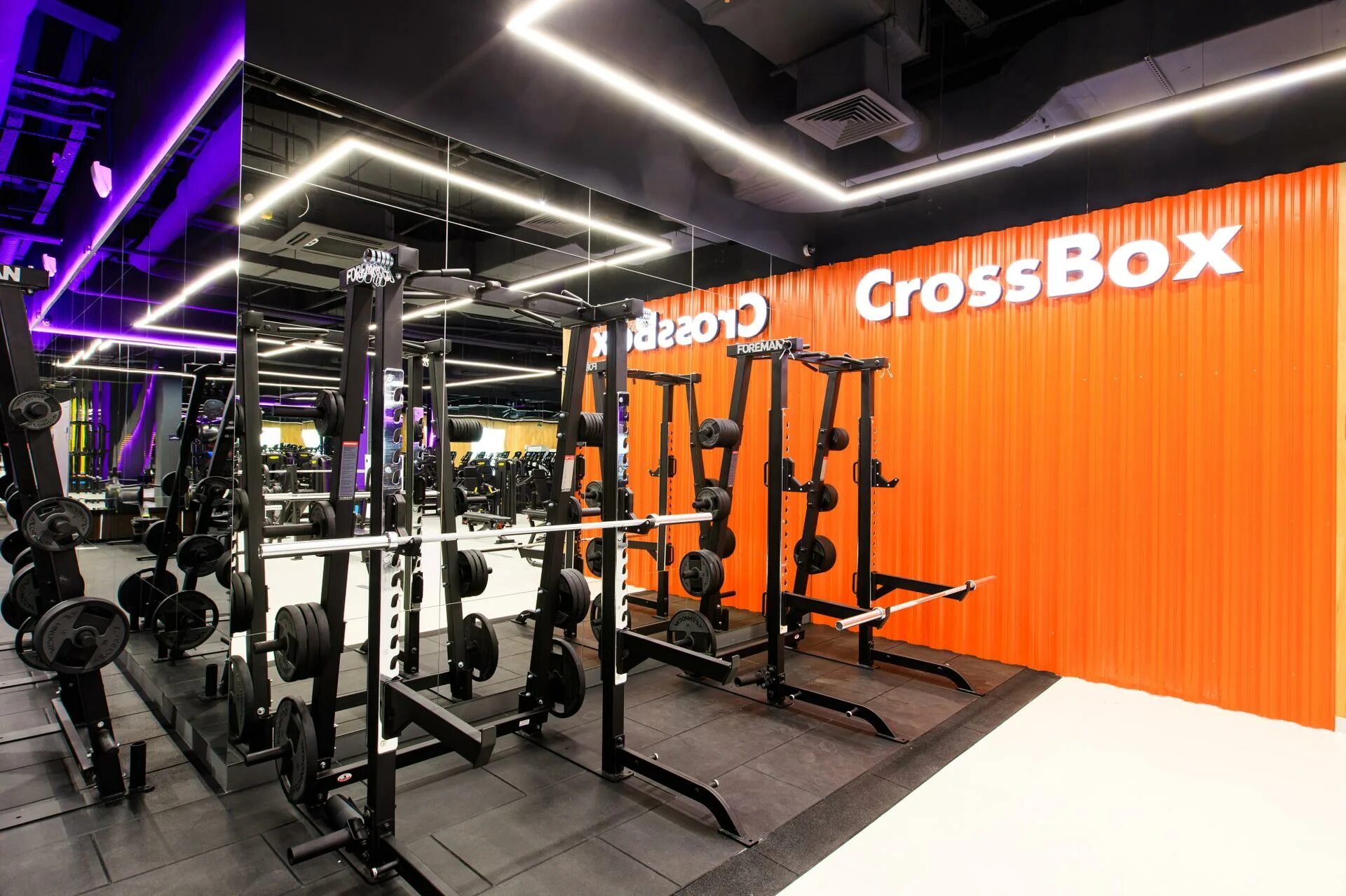 Ddx fitness ижевск. Фитнес мытищи красный кит. Ddx fitness ижевск. Ddx fitness мытищи. Ddx fitness ижевск.