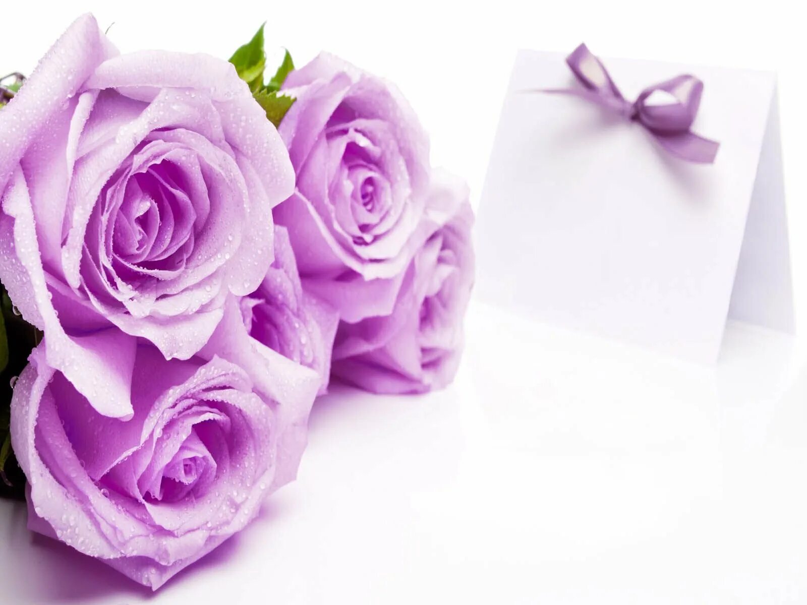 Марту с днем рождения картинки. Открытка цветы. Фиолетовые розы.