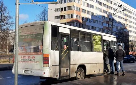 132 автобус спб