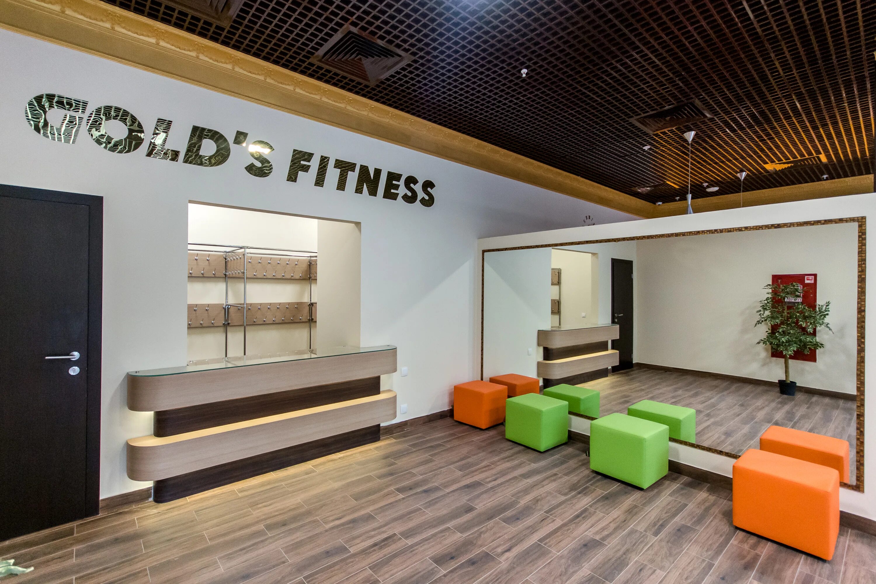 голд фитнес индиго телефон